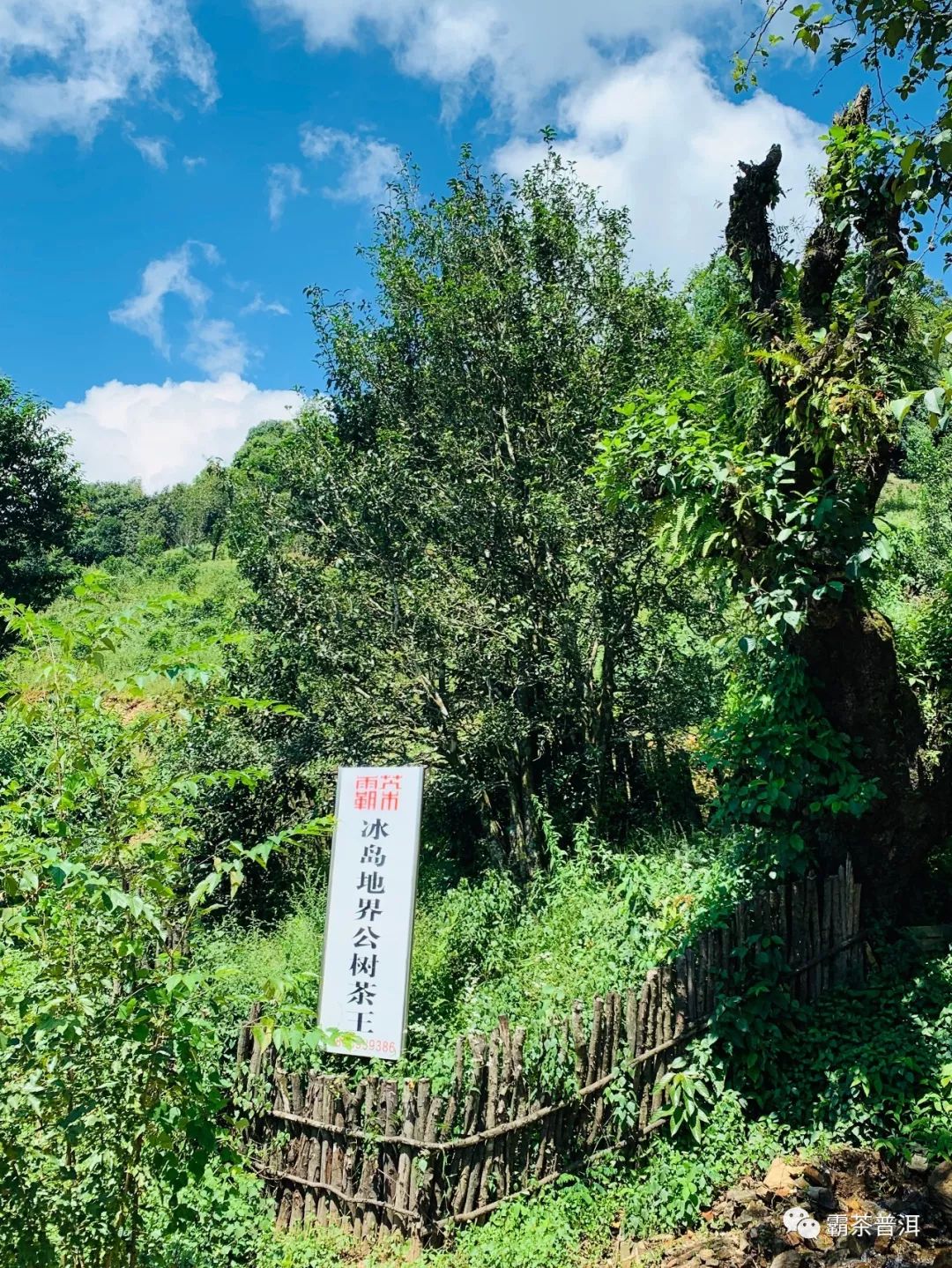 冰岛地界穆如清风