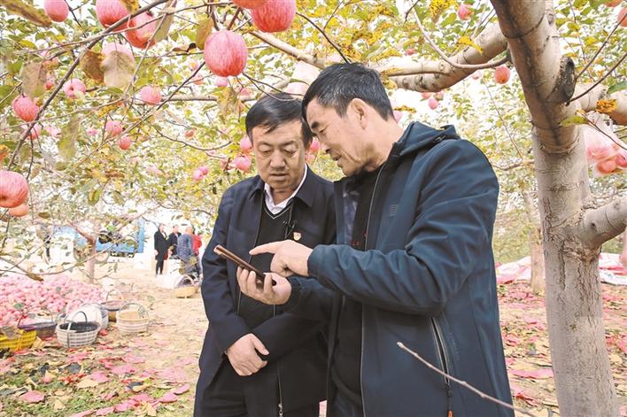 10月31日下午 云岩镇辛户村党支部书记张延刚给左