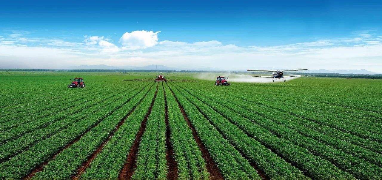 数说新中国70年农业农村巨变农业生产稳步增长