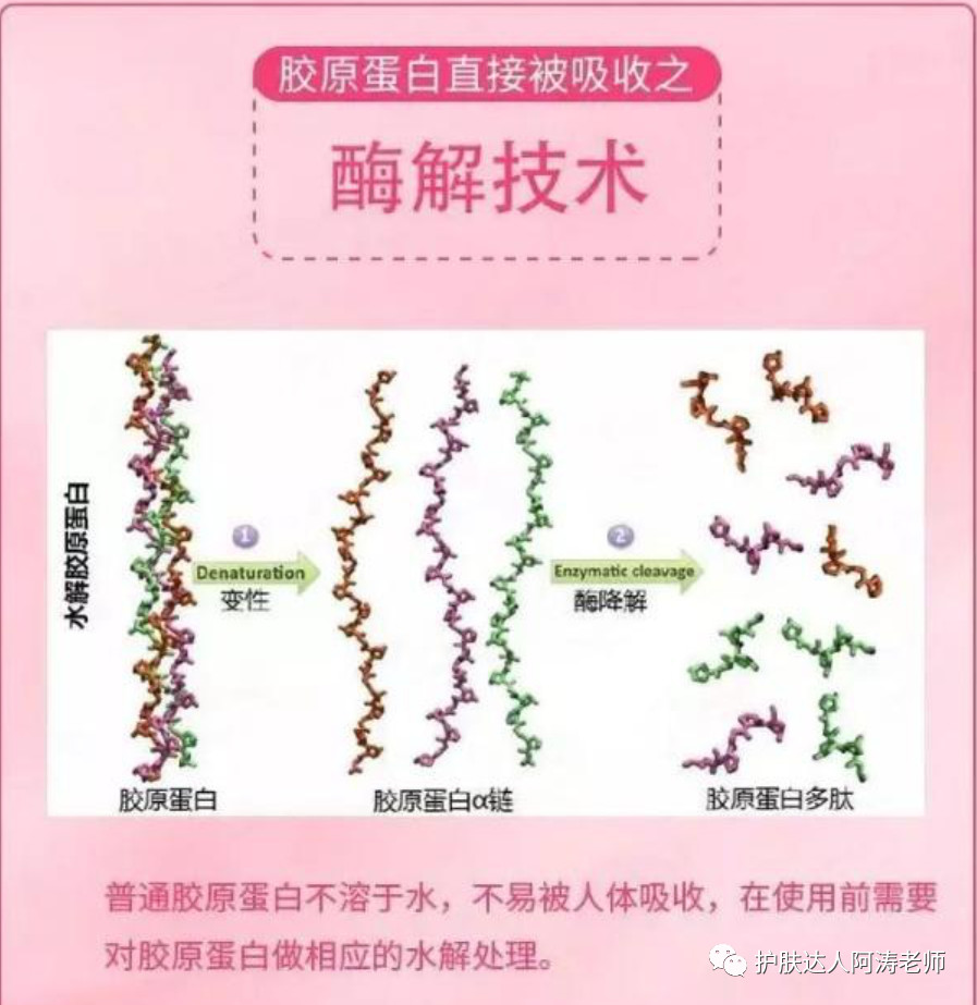 阿涛老师教你胶原蛋白作用于肌肤的原理