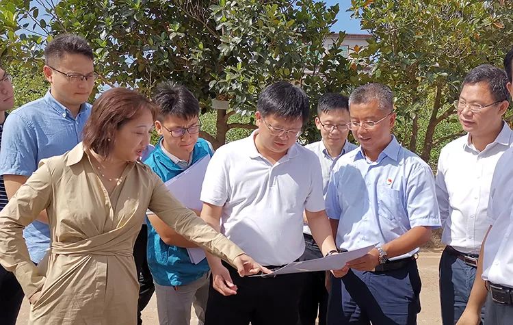 深入一线,扶贫助农 | 碧桂园帮扶雷州一市两村脱贫攻坚进行时