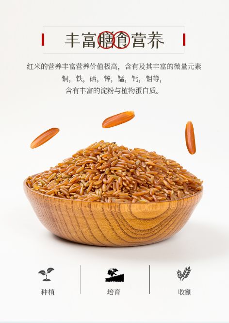 玩在商旅云和梯田独家定制全年限量款抢到就是赚到