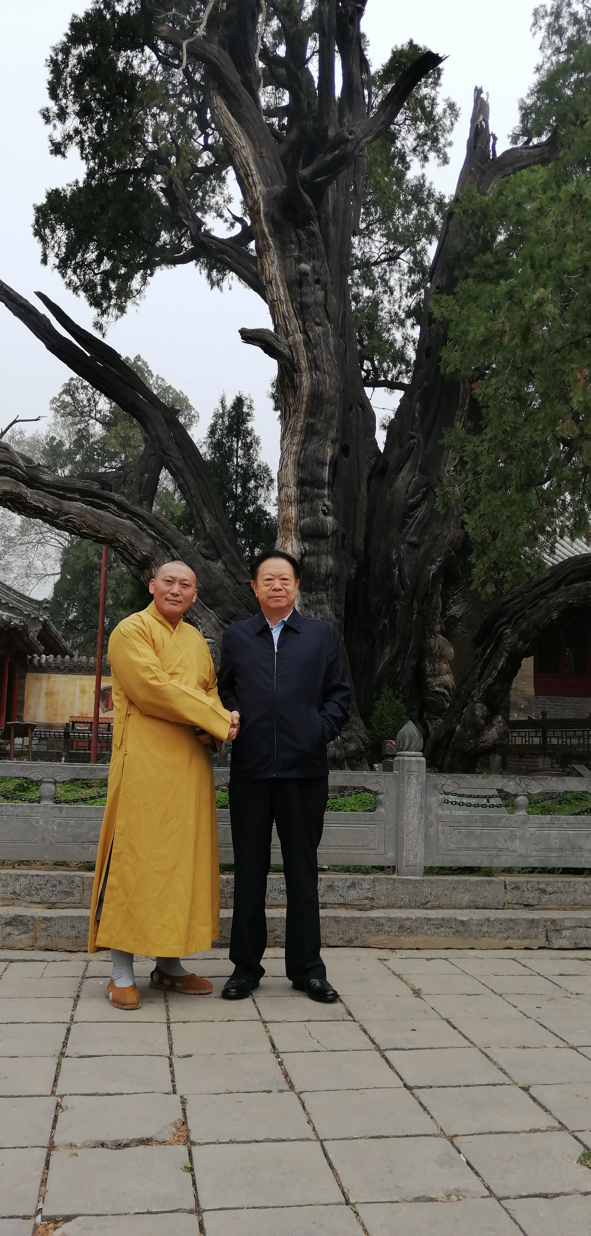 释延明法师图片