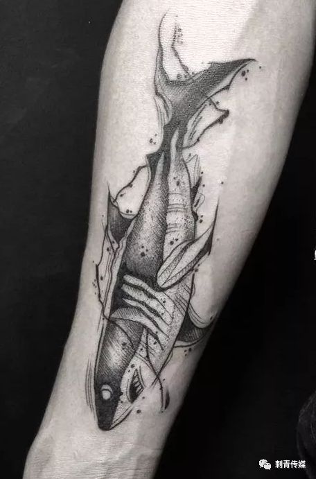 海洋霸主鲨鱼纹身