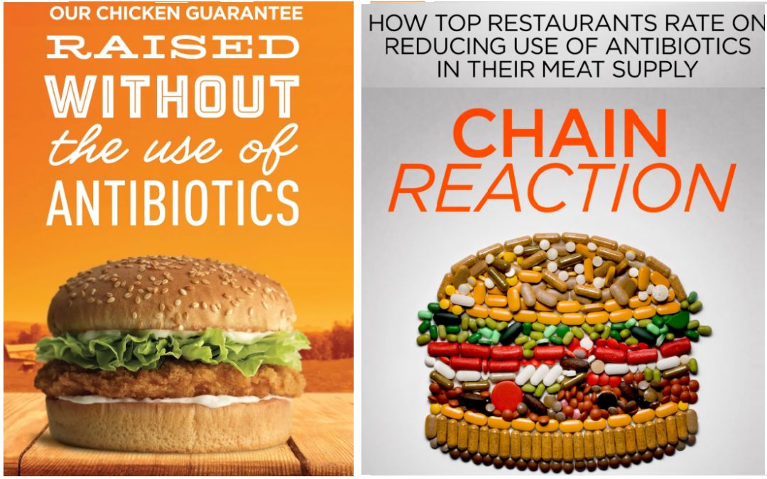 惊呆抗生素残留危害大这些亚裔超爱的餐馆上黑名单