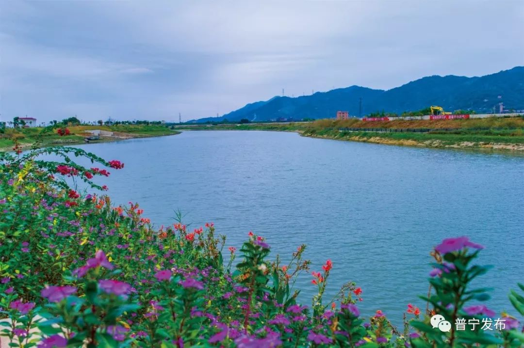高清多图丨普宁练江如今变得这么美了