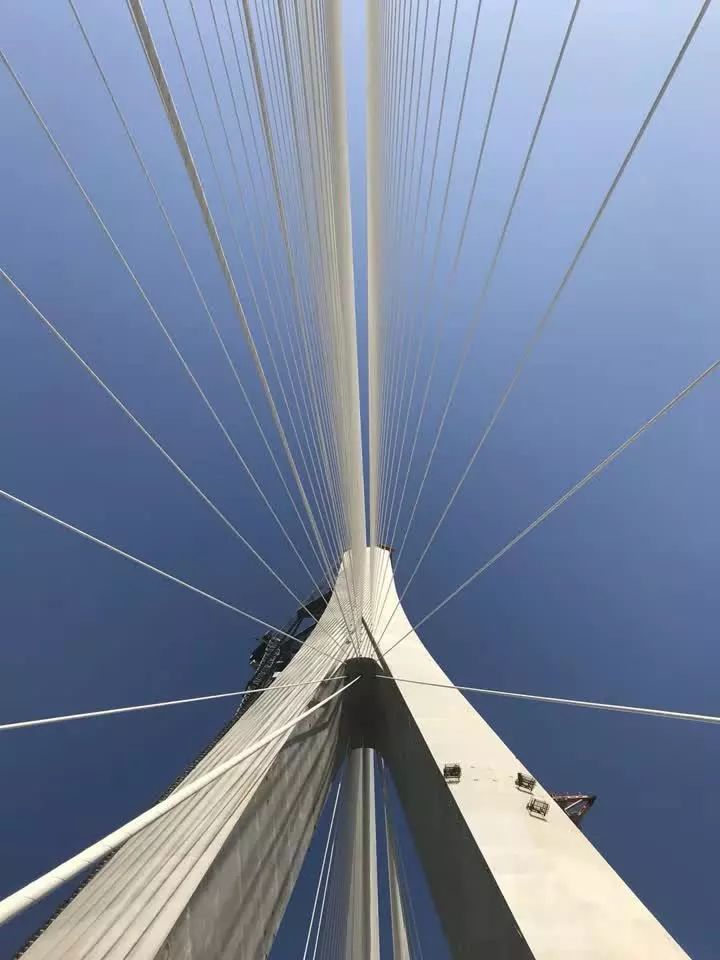 "竖琴"成型 今天沪通大桥最后一对斜拉索架设到位