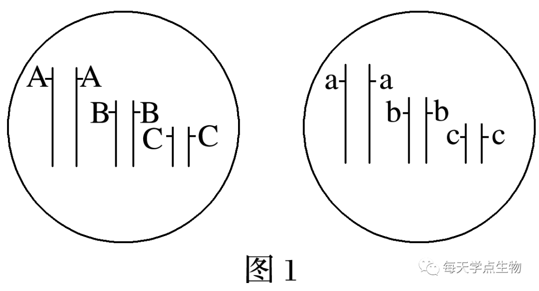 每天學點生物自由組合定律中的特殊比例二12