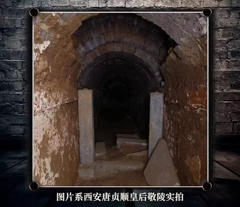正在热映长安道海上钢琴师约一下