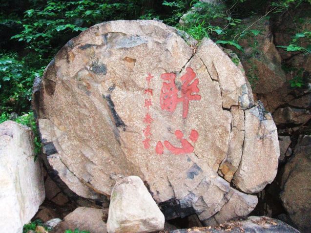 泰山世界地质公园科普进校园活动顺利举办~_岩石