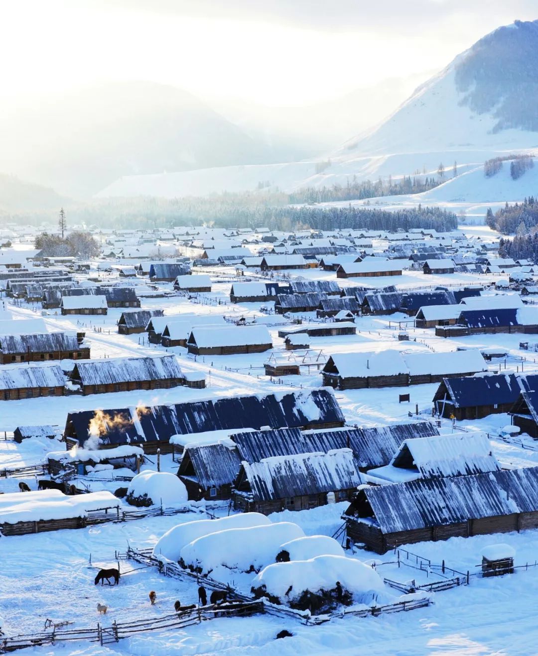 喀纳斯的冬天藏着空灵惊艳美的入骨入髓