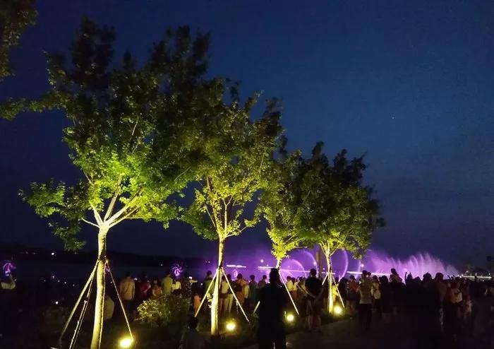 不能再美了孝妇河湿地公园夜景太美啦