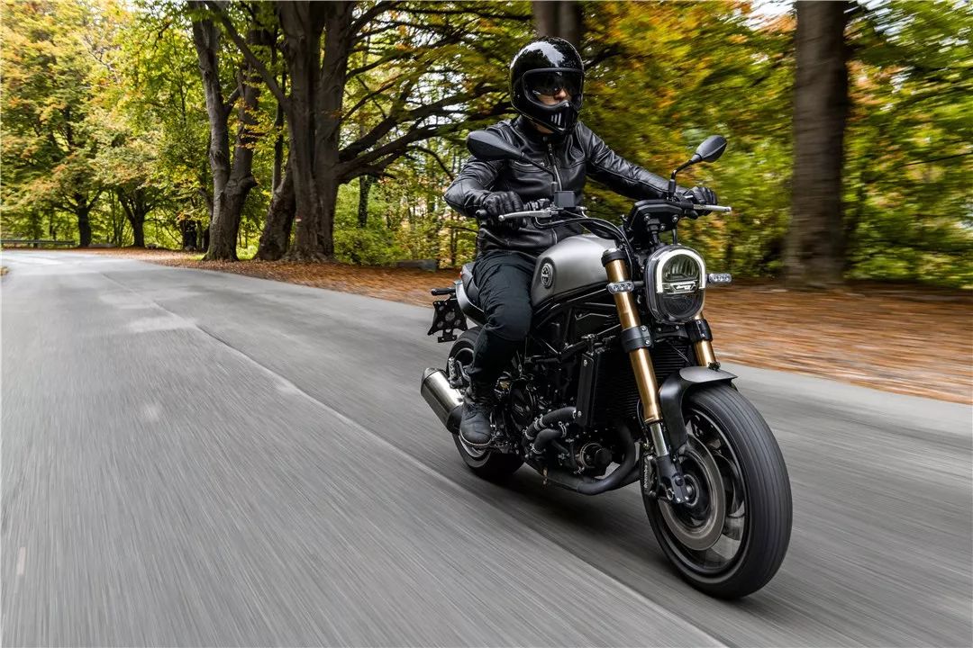 无印| 贝纳利幼狮 leoncino 800