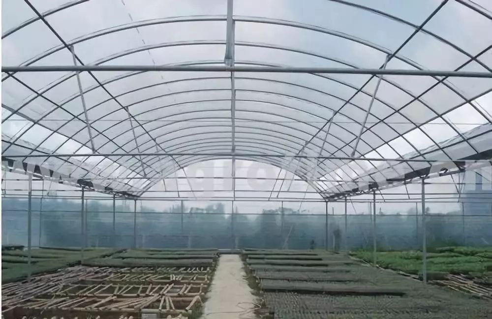 连栋薄膜温室的转变_建设