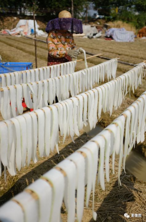 场面壮观这样晾晒冬瓜干的画面看一下