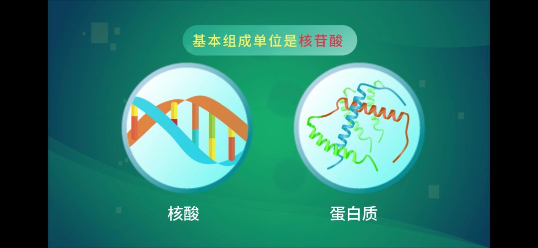 核酸同蛋白质一样,也是生物大分子.我们先来了解一下核酸.