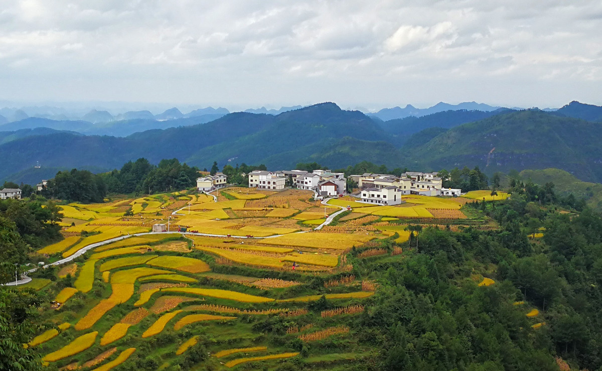 高坡苗族乡位于贵阳市东南端,地处花溪与龙里,惠水三县(区)交界处有 