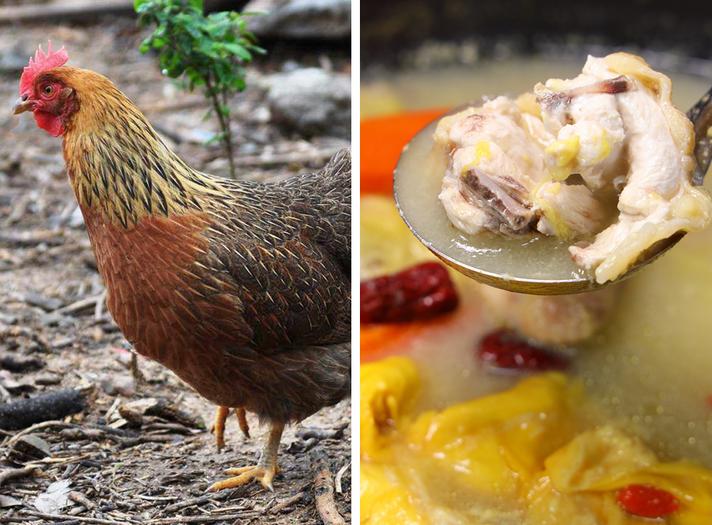 原创羊肚包鸡广东人冬天续命美食不信就来打卡