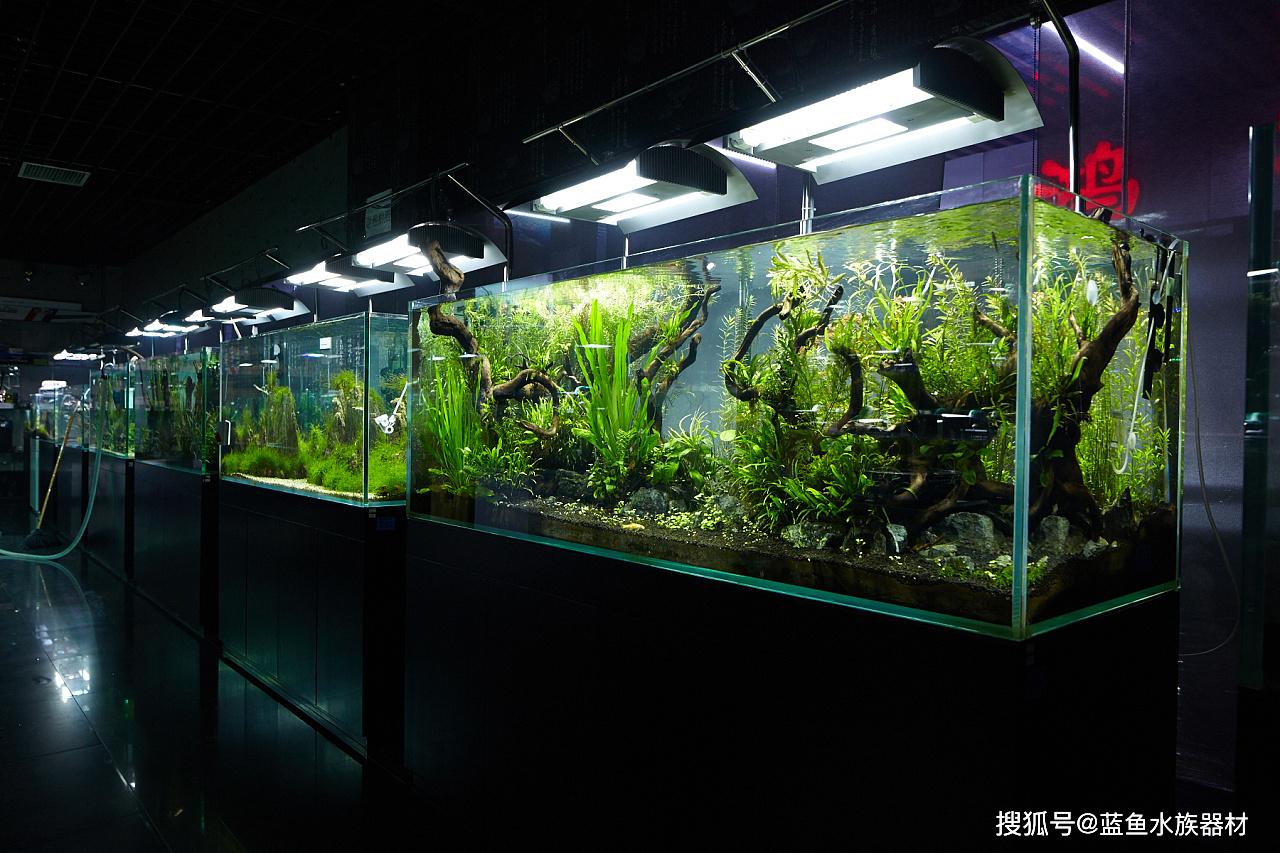 水族鱼缸灯光认识与灯具的选用_设计