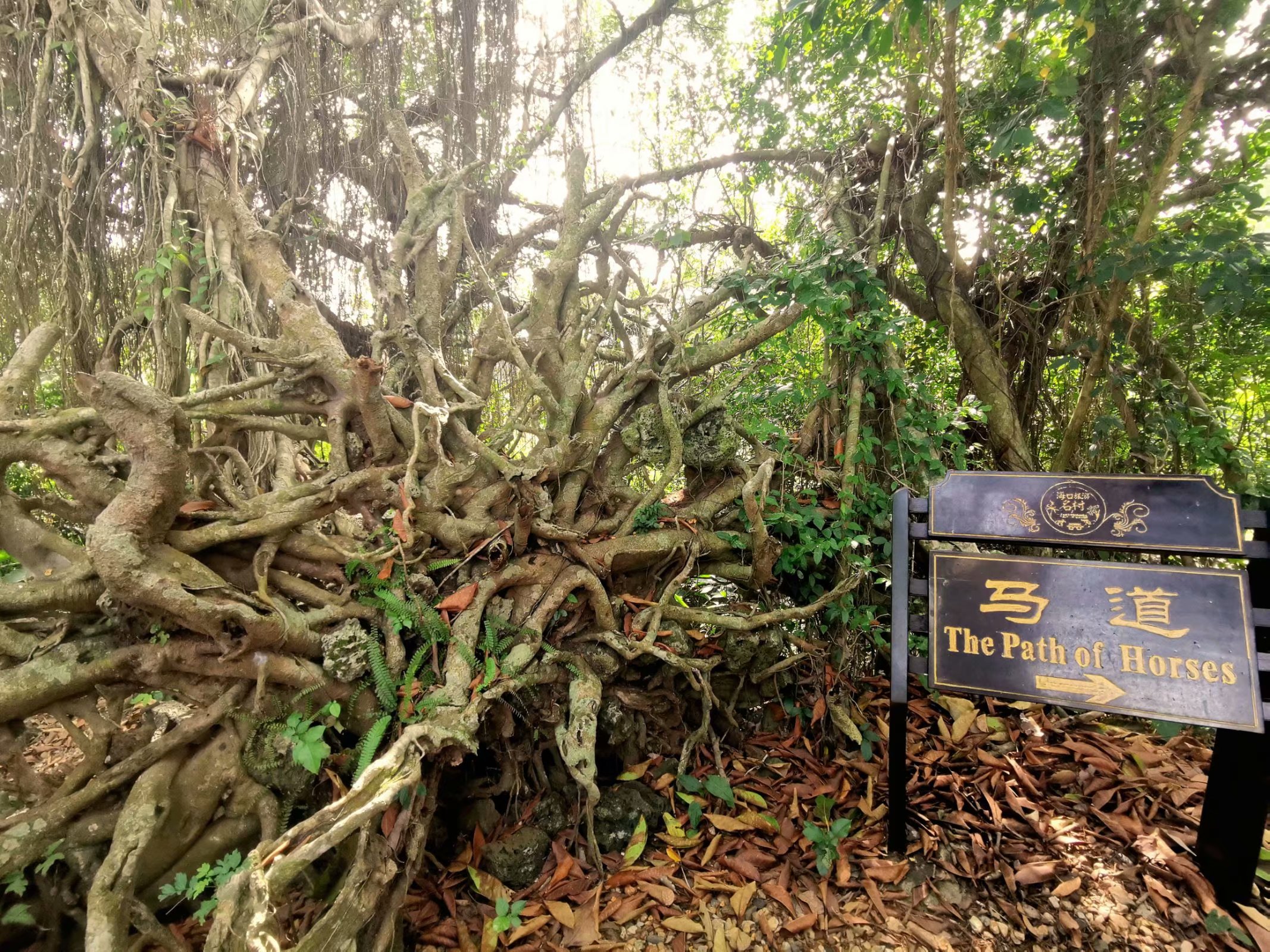 吴贤秀是唐代的名臣,与大书法家颜