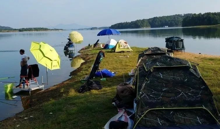 钓鱼的场所和环境越来越少希望有关部门重视这项运动