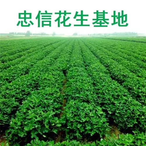 忠信厨具(金厨厨具有限公司)
