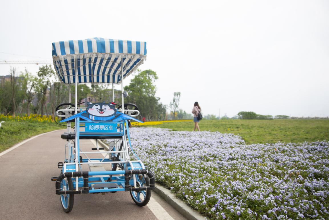 "旅游 互联网"哈啰景区车助力全国百城景区信息化建设