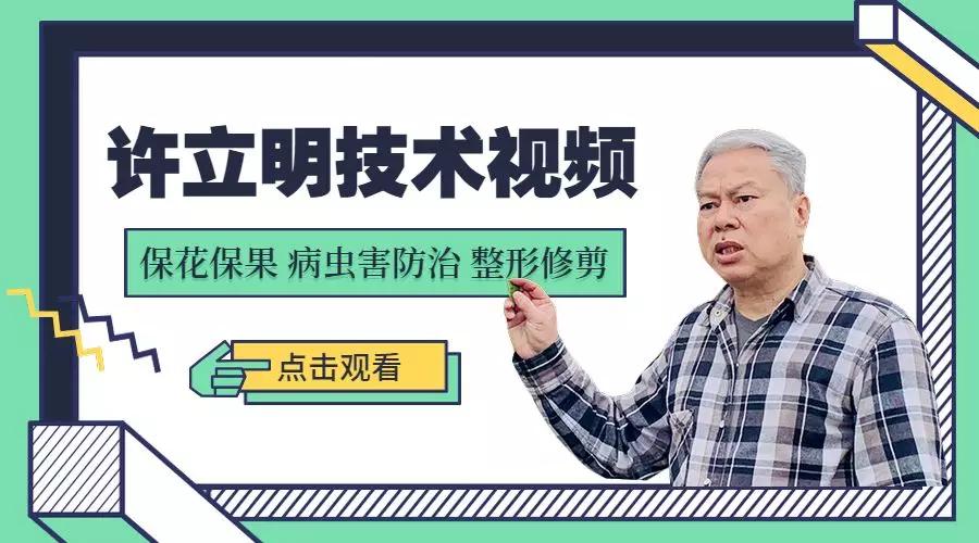 矿物油很强大却没多少人用对许立明卢文彝教你正确使用矿物油