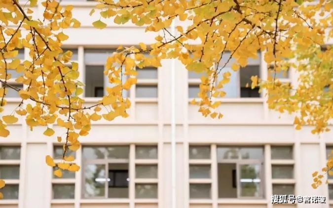 杭州最美秋日大学