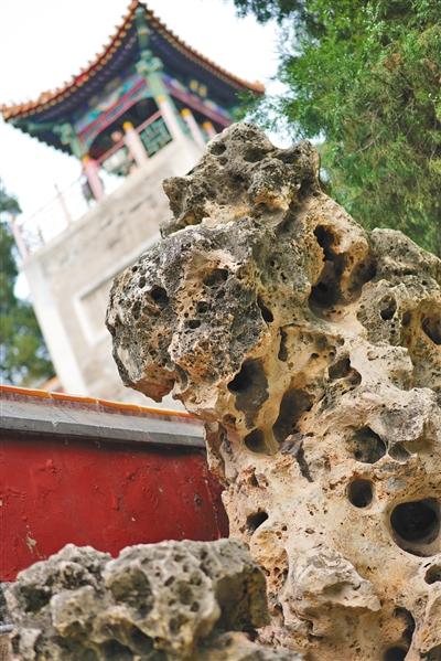 北海公园"艮岳石"初步判定来自宋代开封艮岳园