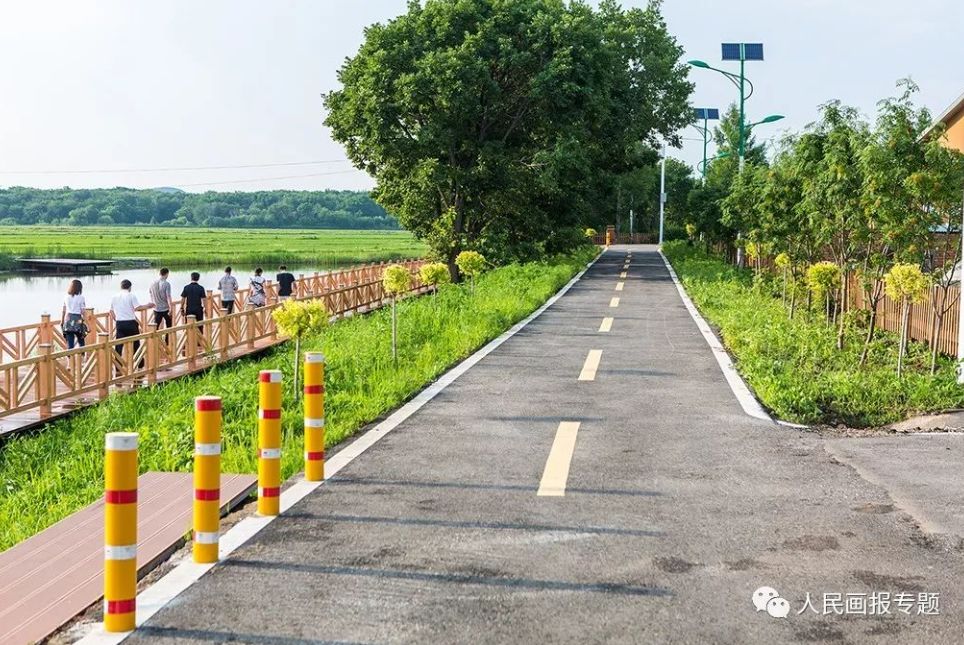 村七臺河市勃利縣青山鄉奮鬥村齊齊哈爾市富裕縣龍安橋鎮小河東村大