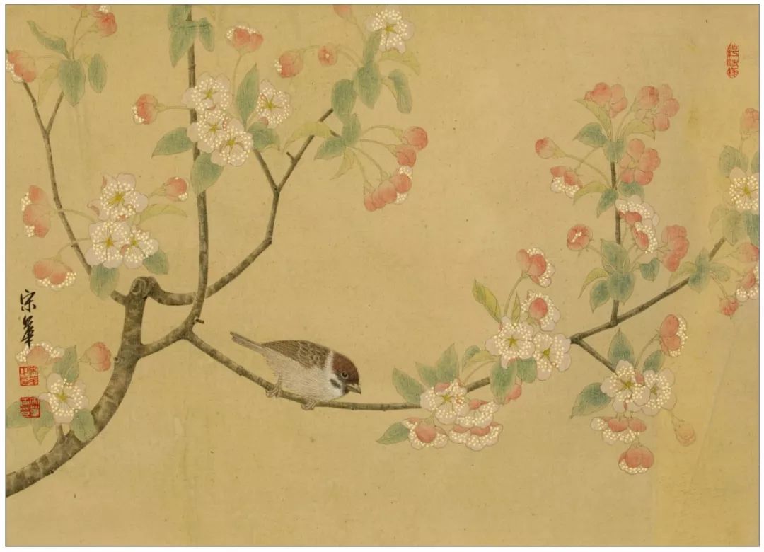 极富灵气和诗意宋华50件精品工笔花鸟作品首次来厦展出