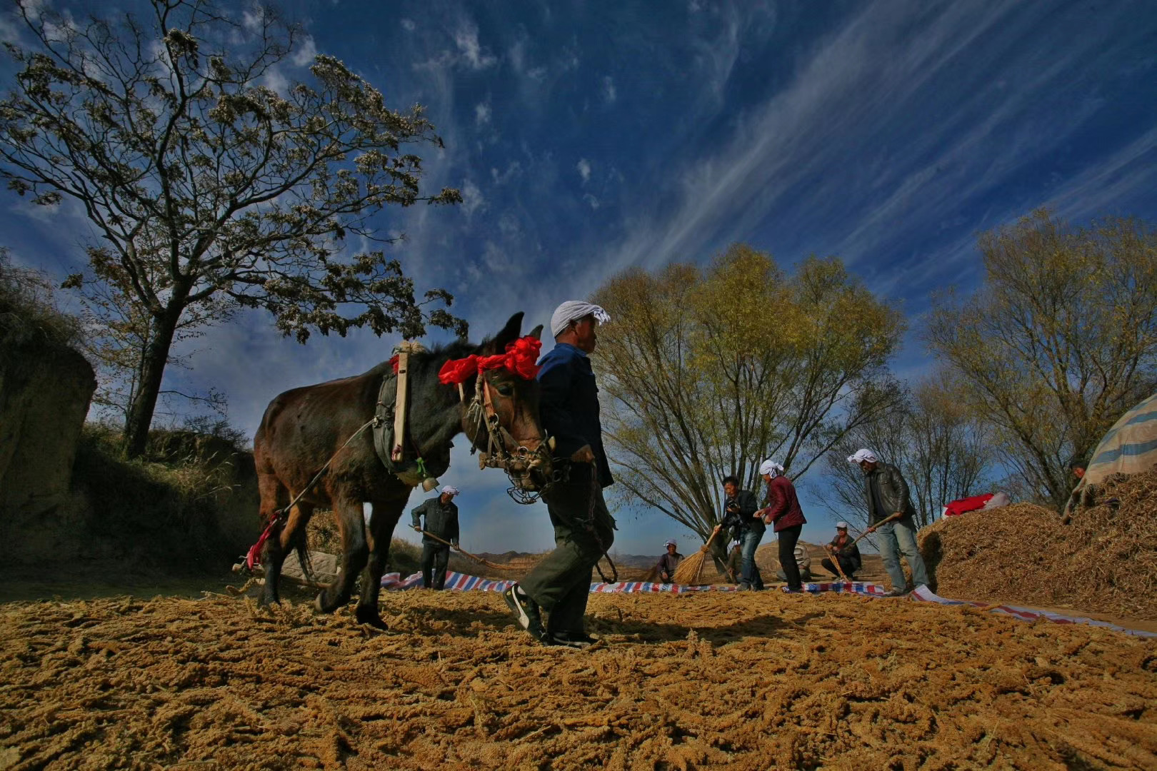 劳动号子包括打夯歌,打硪歌,采石歌,吆牛歌,打场歌.