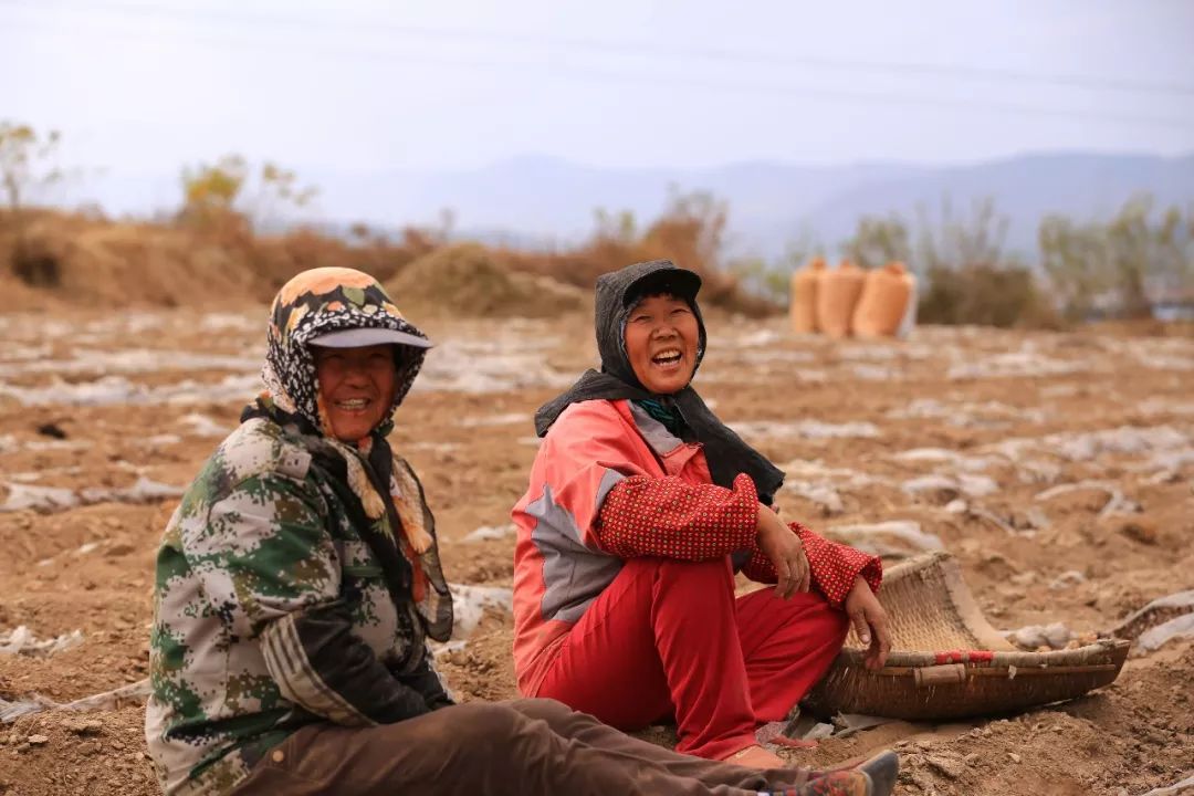 辛勤的"东港农民"!