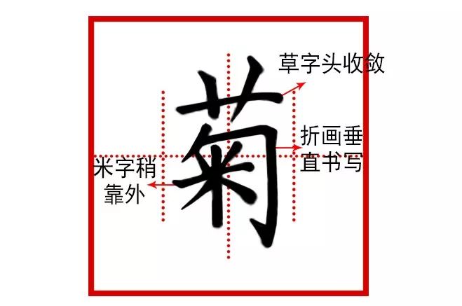 菊字演变笔顺:11画