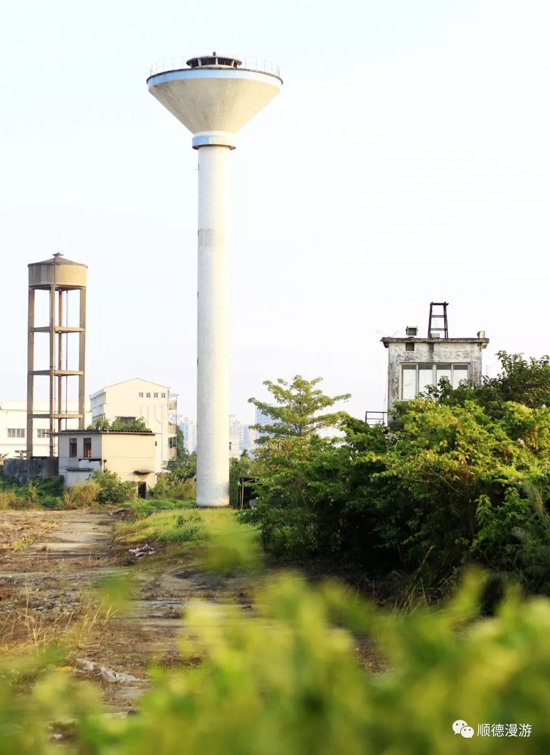 80年代初顺德大良大门沙头堤围沙墟水闸旁木材场后一带是鱼塘菜地