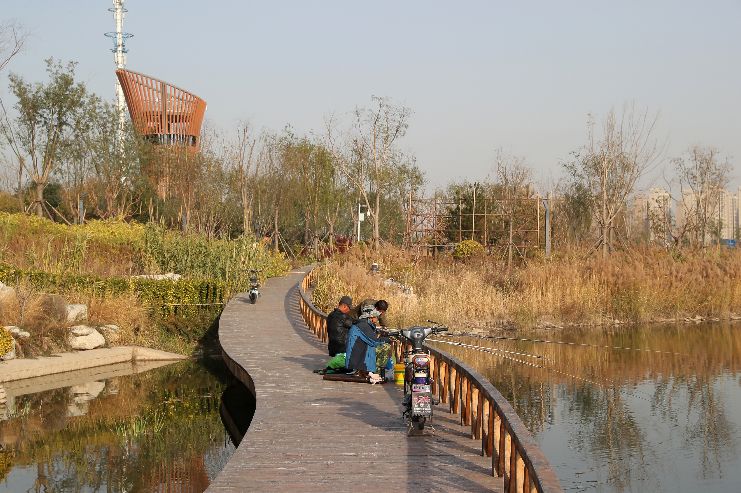 【城事】新区新开一亲海主题公园,周末游玩约起