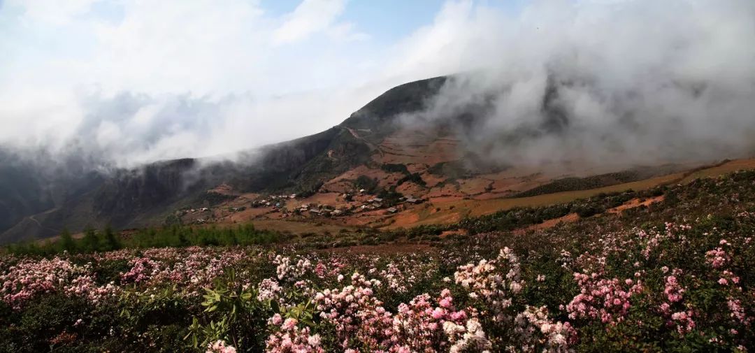 马边大风顶国家级自然保护区