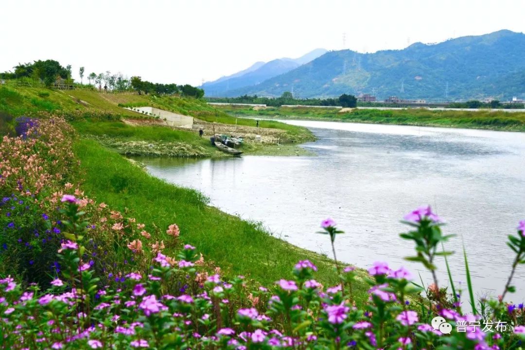 高清多图丨普宁练江如今变得这么美了