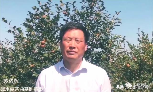 于都茶油基地助力村民脱贫致富_黄绪辉