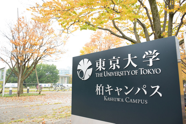 东京大学工学系研究科修士sgu纯英语申请项目_进行