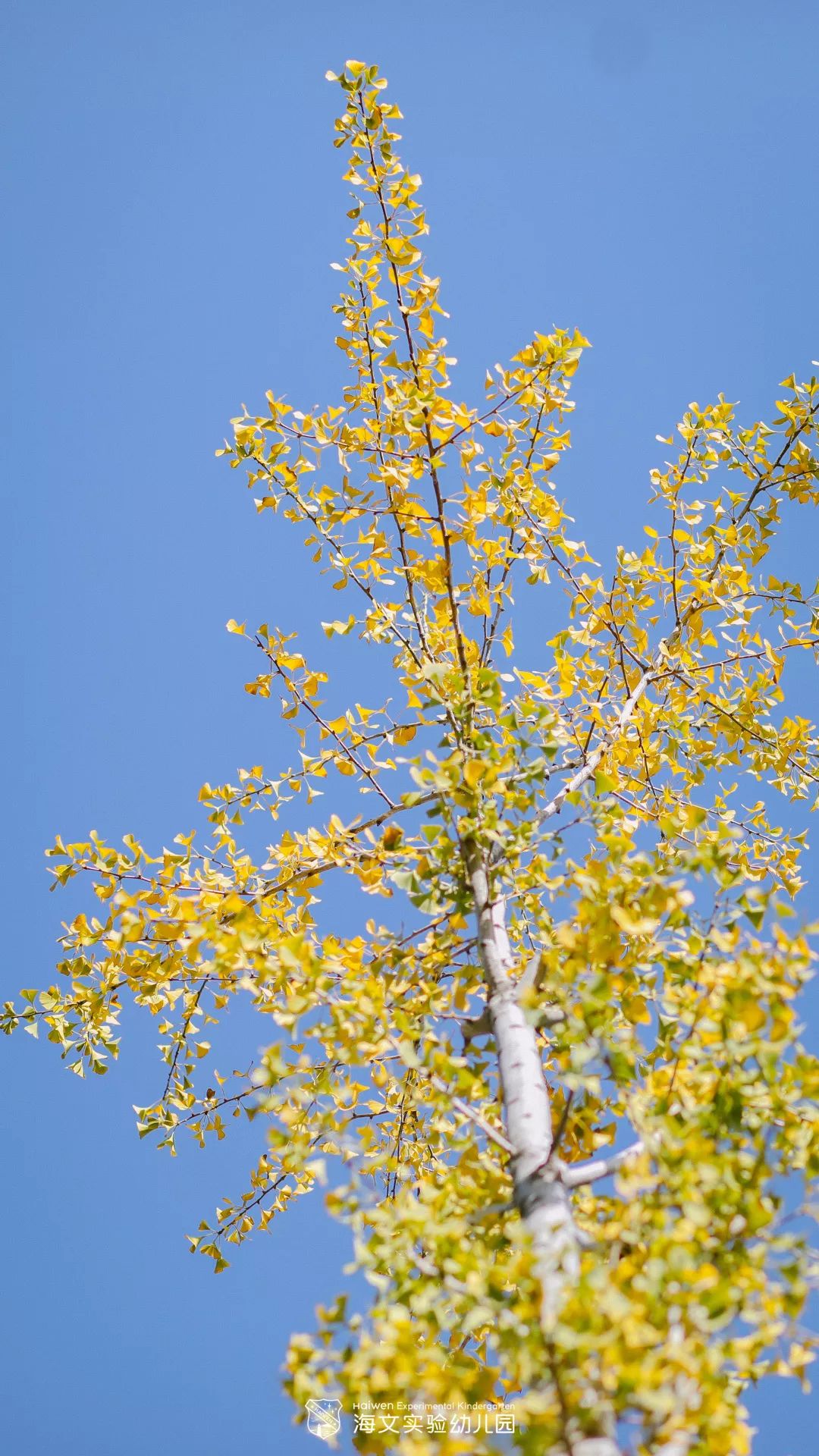 海文之秋从立秋那天说起