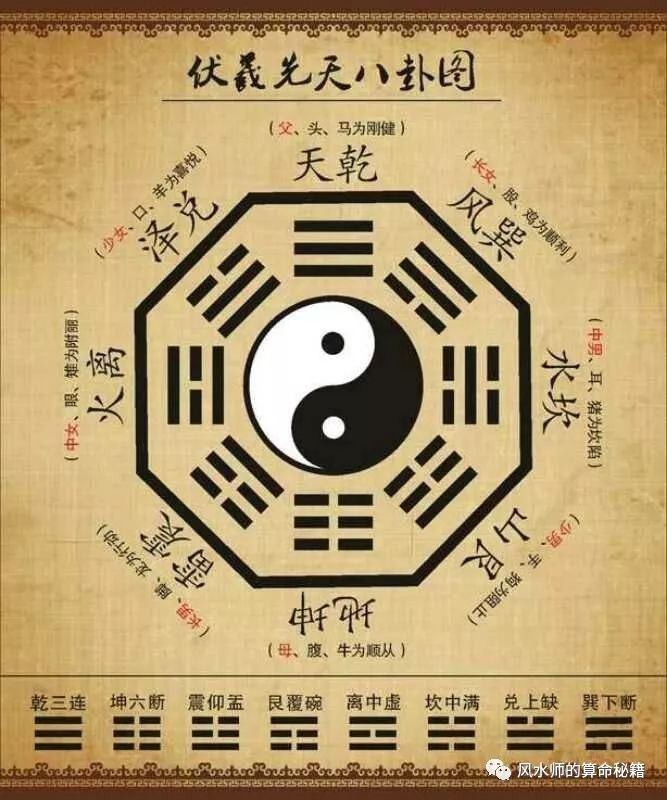 家里养什么花旺运_八卦