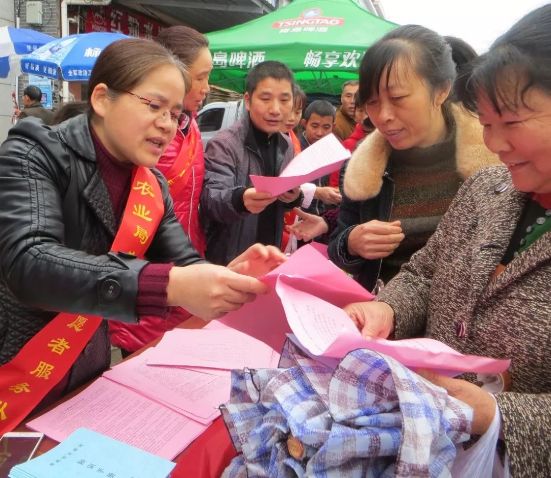 喜讯 县妇联"爱同行 心奉献"红土巾帼志愿服务项目荣获上杭县首届新