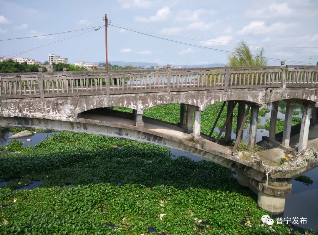 高清多图丨普宁练江如今变得这么美了