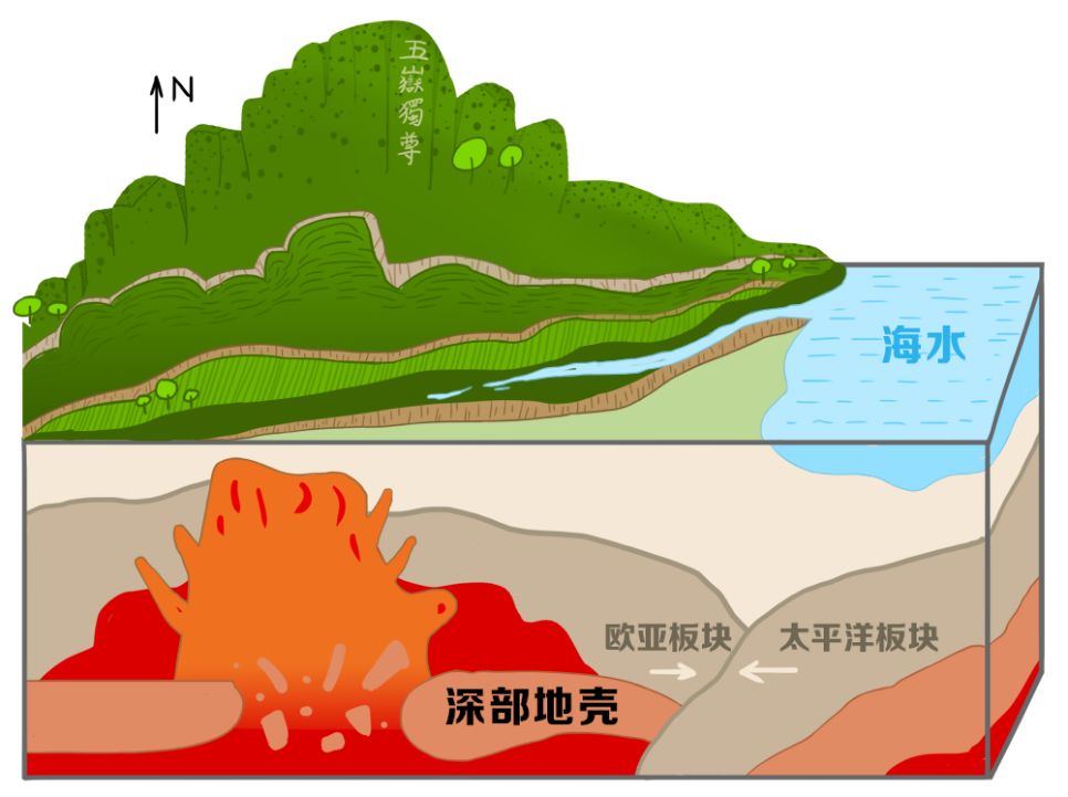 65亿年间受板块运动影响,岩石地层被切割成规模不一的断块,形成"北高