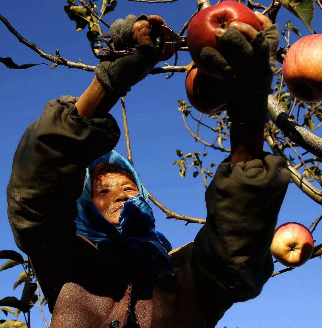 辛勤的"东港农民"!