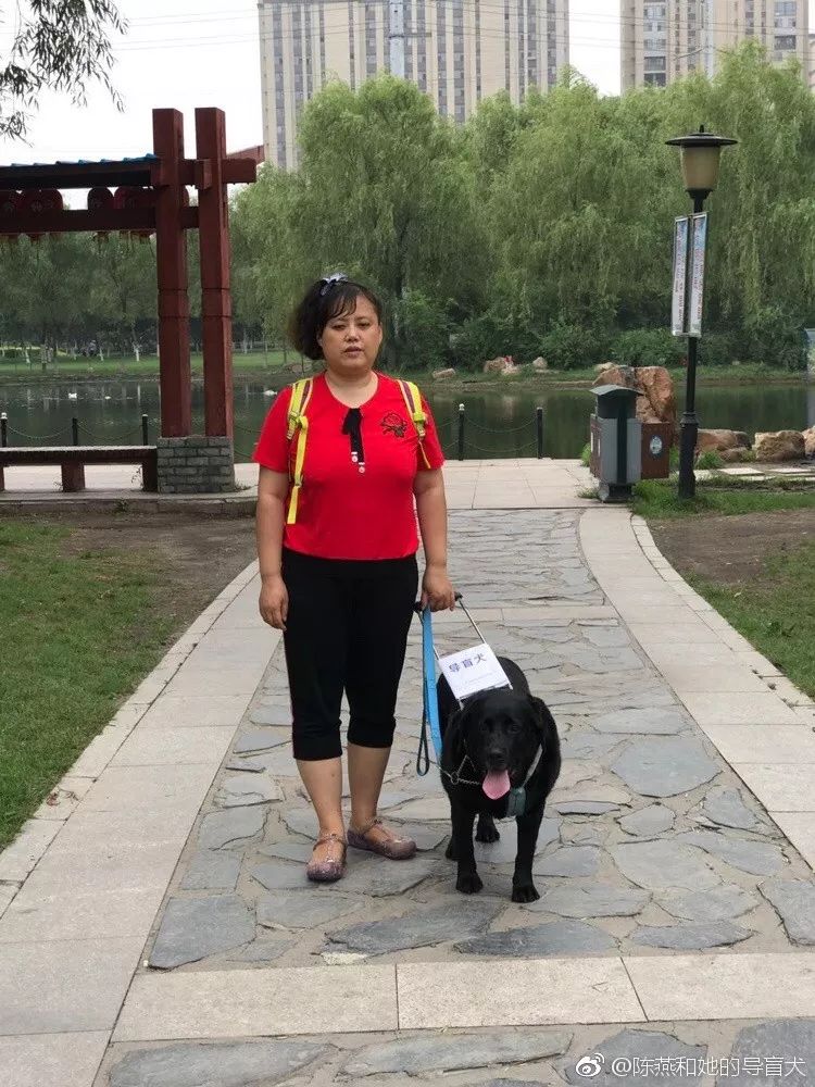 因未戴嘴罩怕伤人导盲犬被拒乘地铁你觉得合理吗