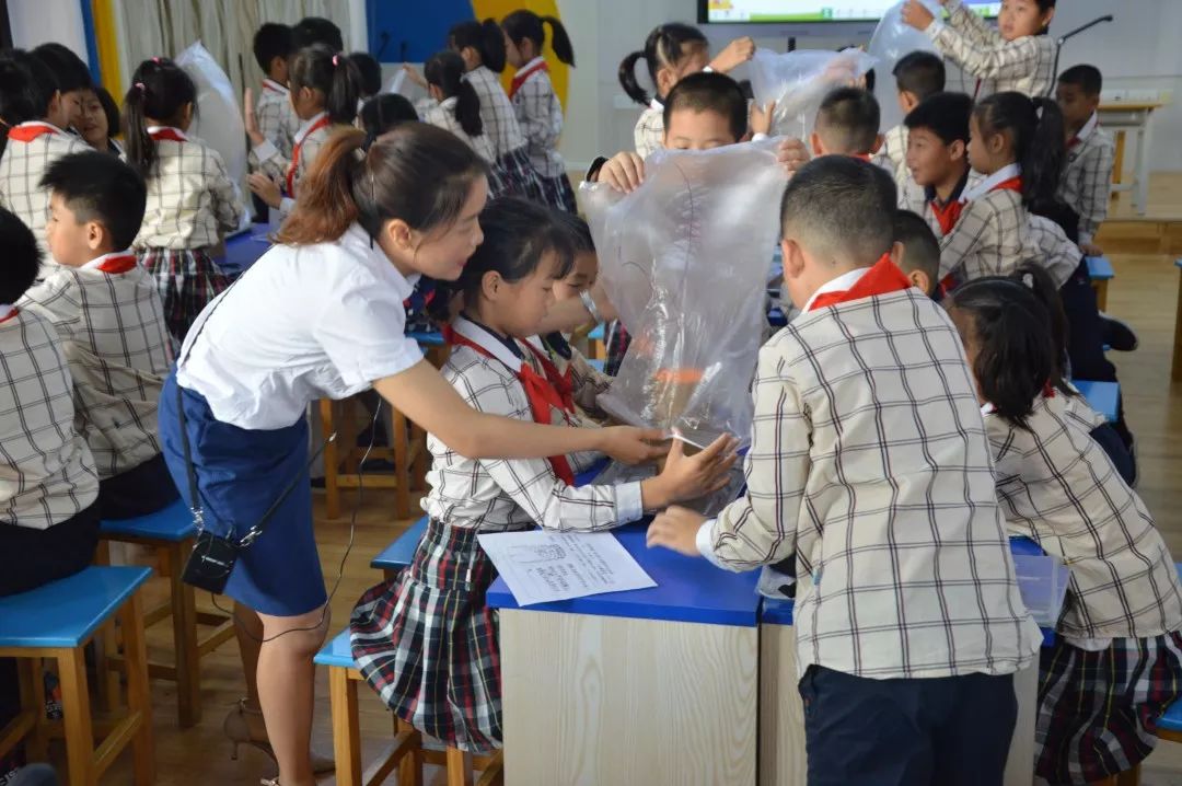 博雅文化行南寧市南湖小學組織全體科學老師參加11月份片區集體教研