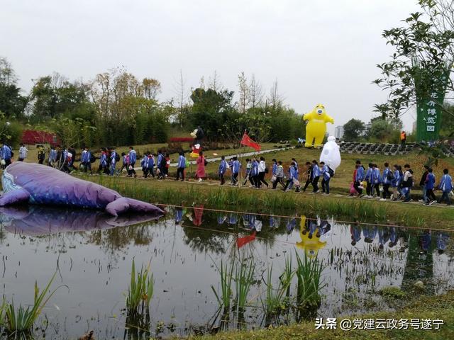 遂宁经开区新桥中学开展“大美遂宁圣莲美景”研学旅行(图3)